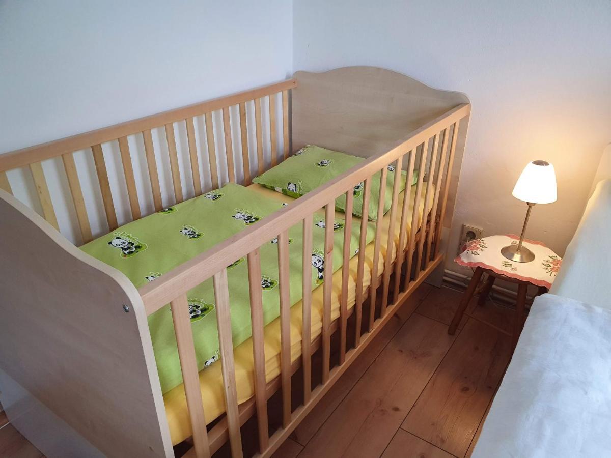Ferienwohnung Ost - Alte Schule Sachswitz Greiz Bagian luar foto